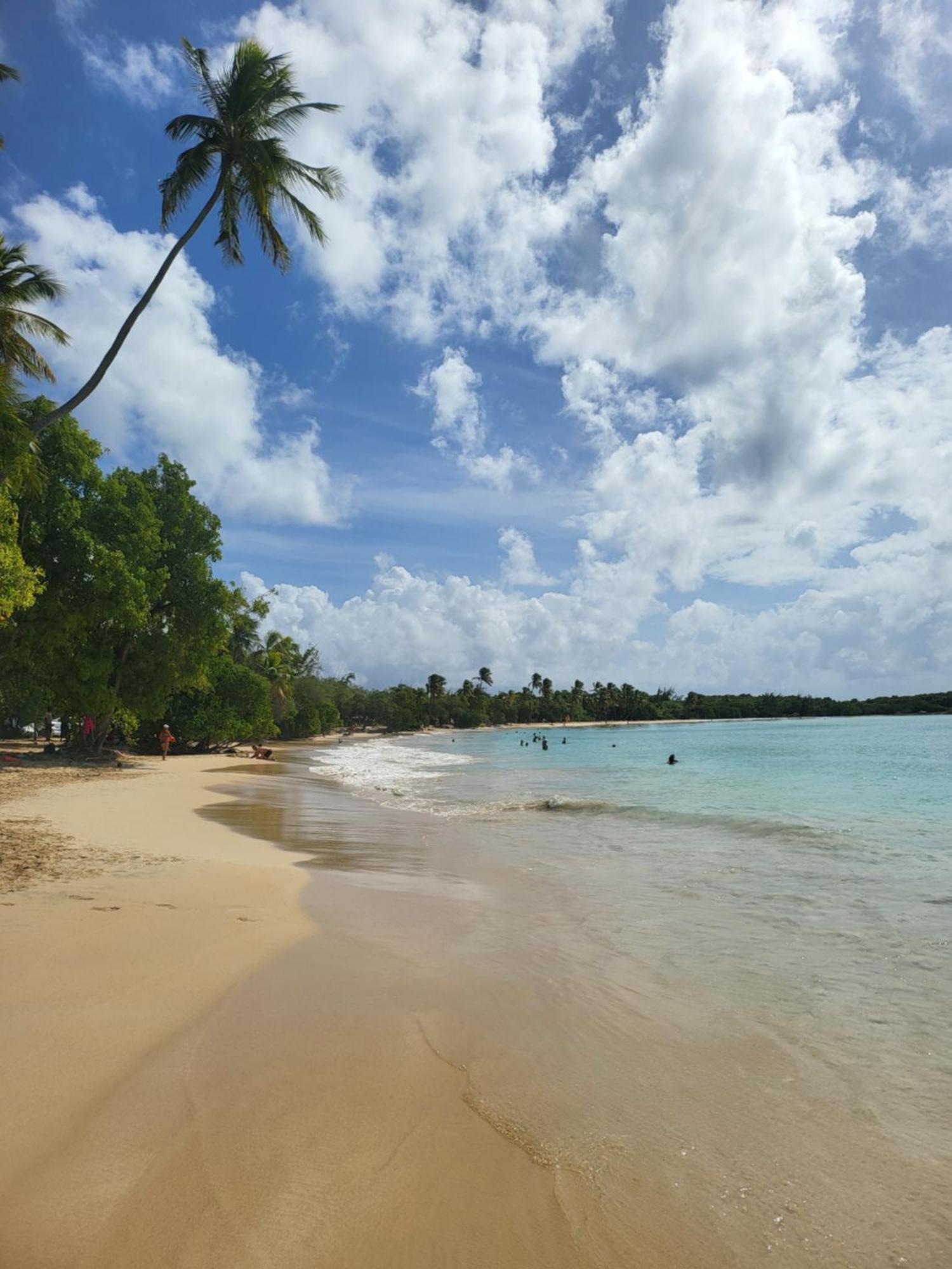 Sud Madinina - Sainte Anne Apartment Exterior photo